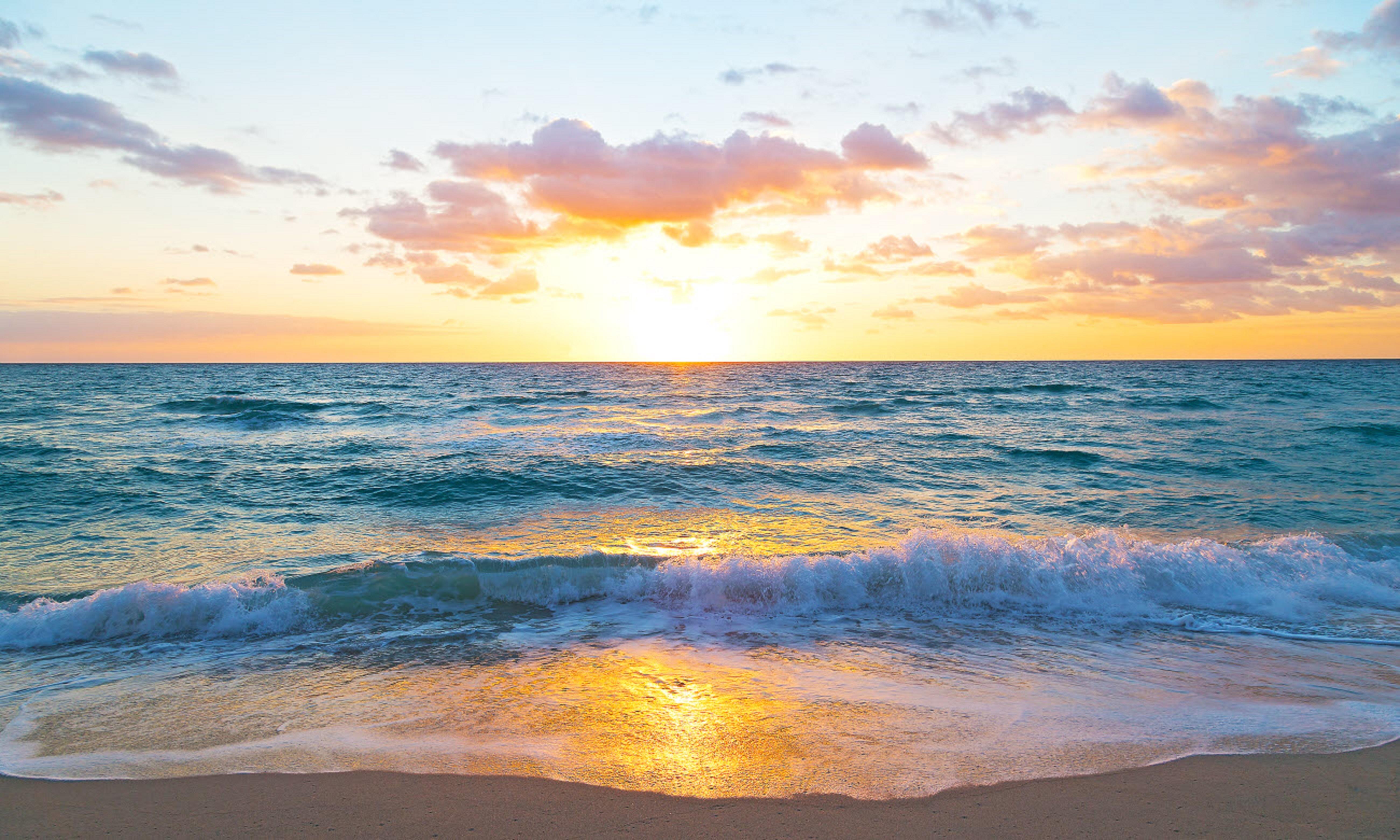 Tideline Palm Beach Ocean Resort And Spa Dış mekan fotoğraf